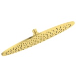 ΚΕΦΑΛΗ ΝΤΟΥΖ IDEALRAIN FAMILY Φ40 BRUSHED GOLD IDEAL - Image 2