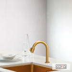 ΡΟΥΞΟΥΝΙ ΦΙΛΤΡΟΥ (ΜΕ ΔΙΑΚΟΠΤΗ) CORA BRUSHED GOLD - Image 2
