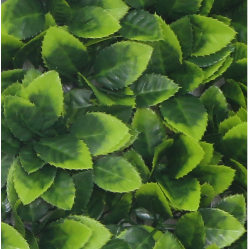 125050_web_2.jpg-800x800-1 Φυτά GREEN WALL >> ICNT 125050 - Image 1