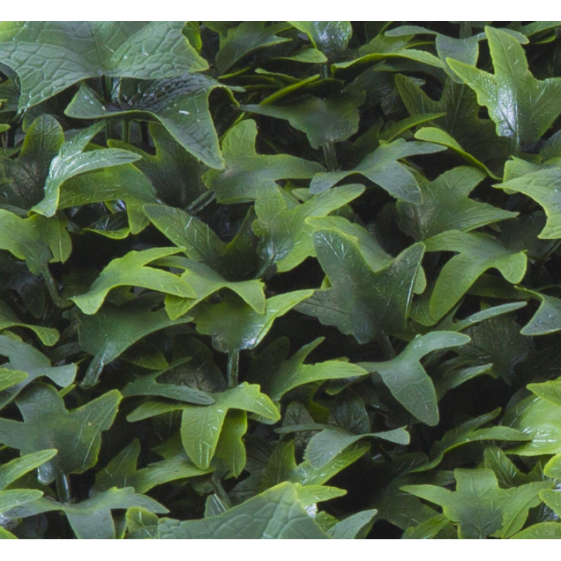165050_web_2.jpg-800x800-1 Φυτά GREEN WALL >> ICNT 165050 - Image 1