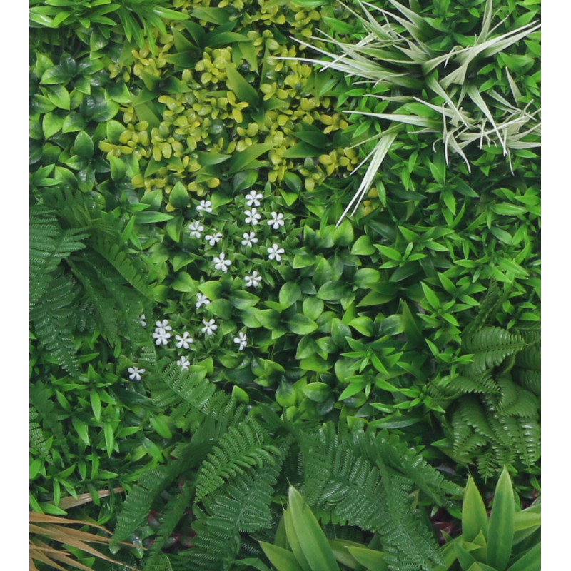 18100100_web_2.jpg-800x800-1 Φυτά GREEN WALL >> ICNT 18100100 - Image 1