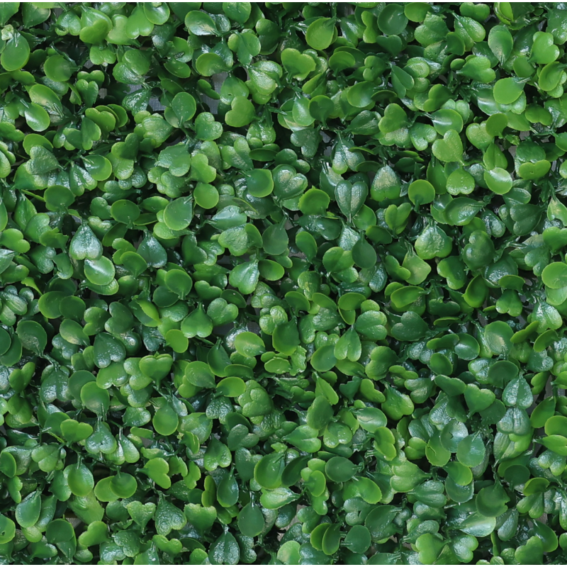 190039_web_2.jpg-800x800-1 Φυτά GREEN NATURE >> ICNT 190039 - Image 1