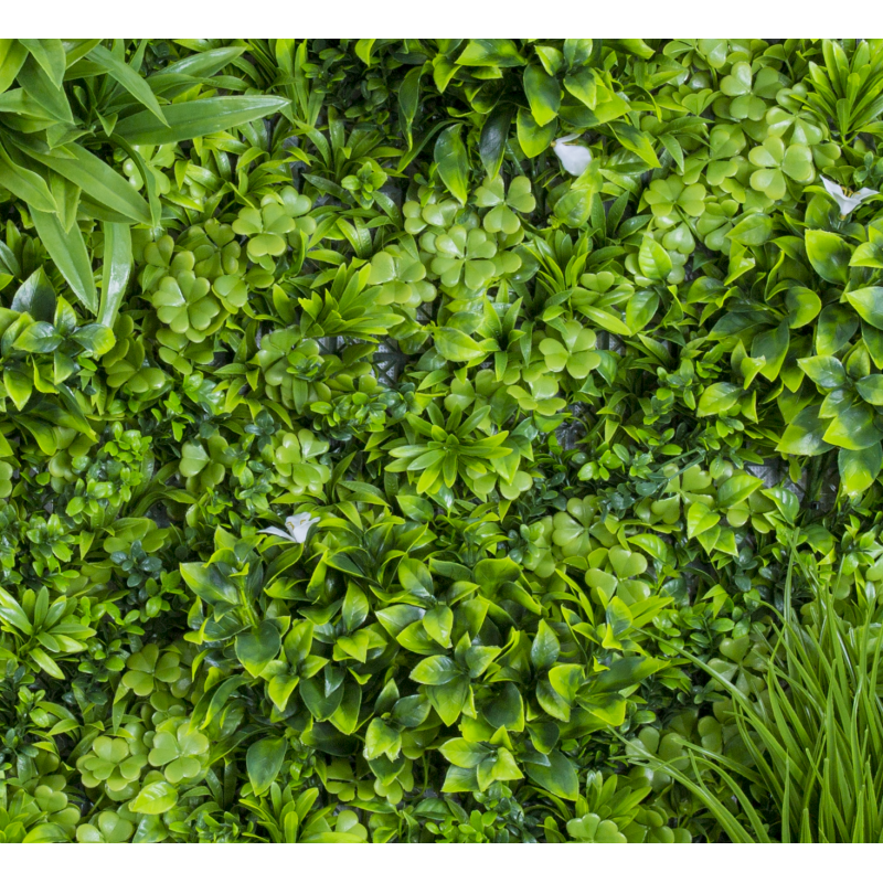 19100100_web_2.jpg-800x800-1 Φυτά GREEN WALL >> ICNT 19100100 - Image 1