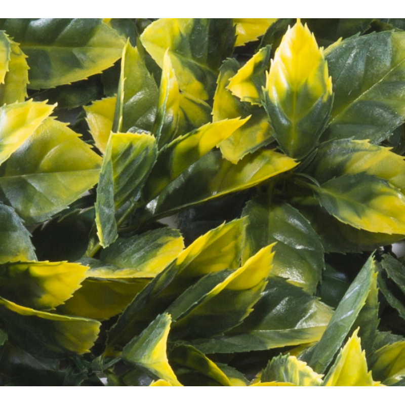 195050_web_2.jpg-800x800-1 Φυτά GREEN WALL >> ICNT 195050 - Image 1