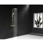 Σύστημα ντους με θερμοστάτη 6703BRUSH GOLD - Image 2