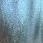 Διαχωριστικό πάνελ ICS S150 RAT GLASS
