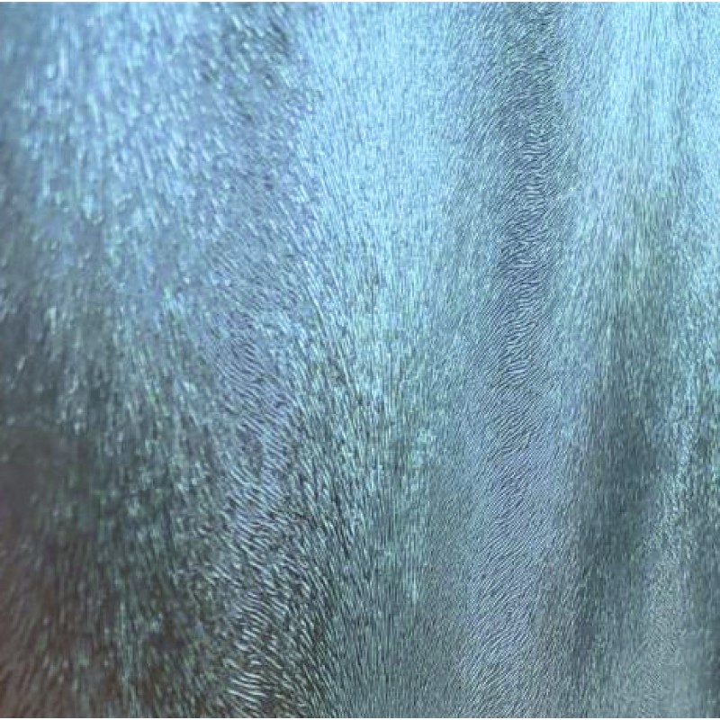 Rat-glass-800x800-1 Διαχωριστικό πάνελ ICS S150 RAT GLASS - Image 1
