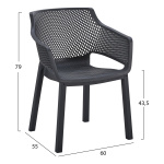 ΠΟΛΥΘΡΟΝΑ ΠΟΛΥΠΡΟΠΥΛΕΝΙΟΥ PEGGY HM6368.02 ΜΑΥΡΟ 60x55x79Υεκ - Image 2